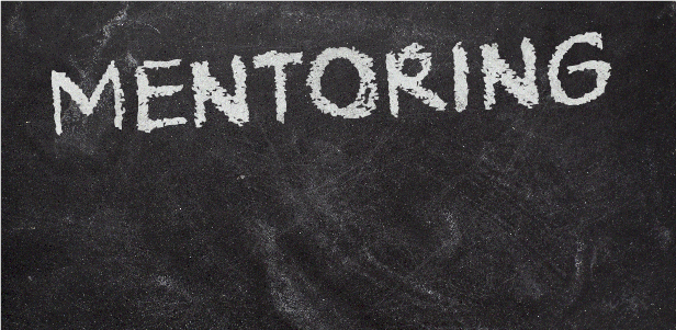4 Mentoringu Tipi